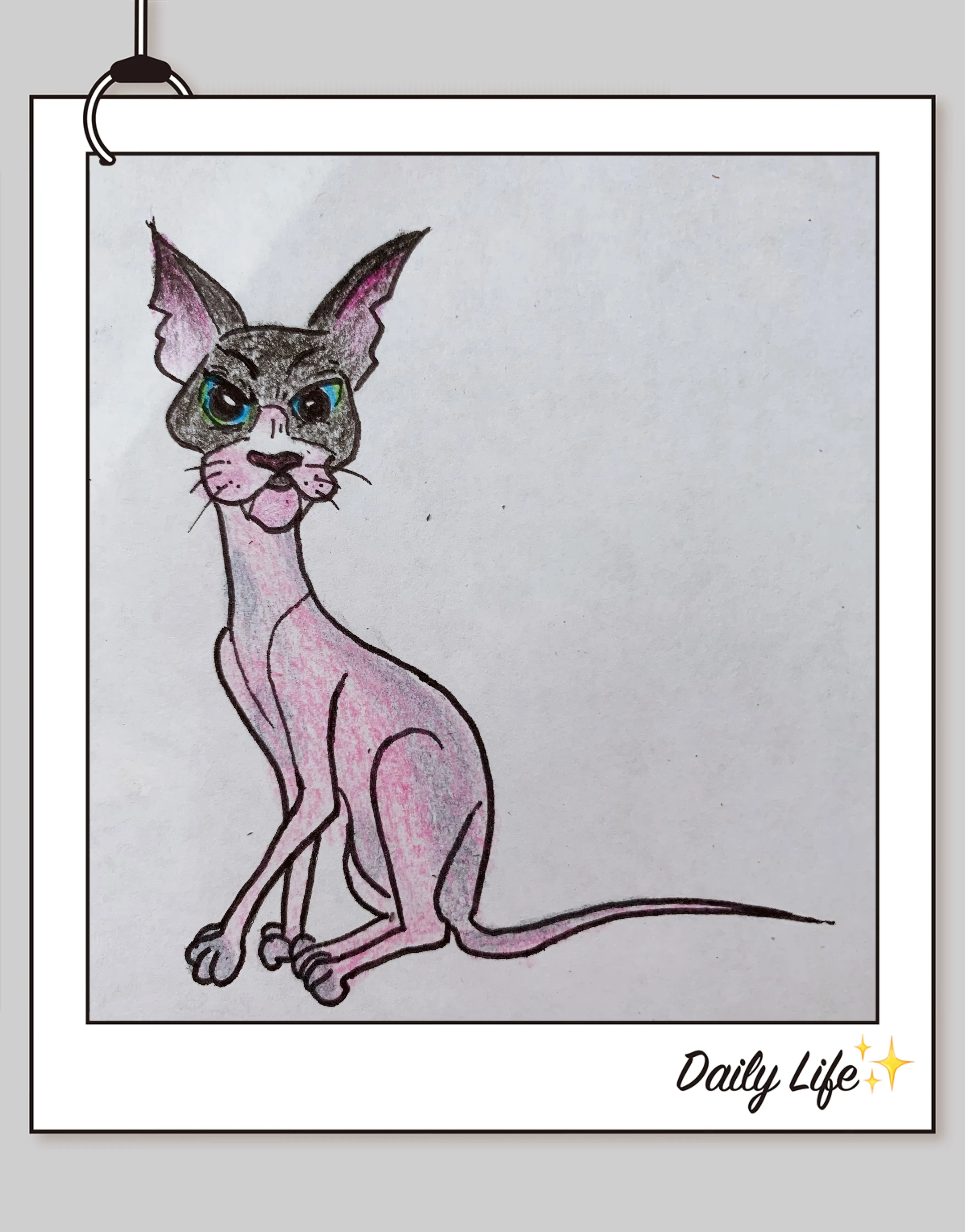 An expressive feline with luminous eyes that capture attention and affection