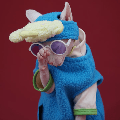 Determined sphynx cat with daily planner and festive mug